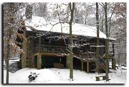 Custom Log Cabin