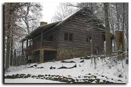 Custom Log Cabin